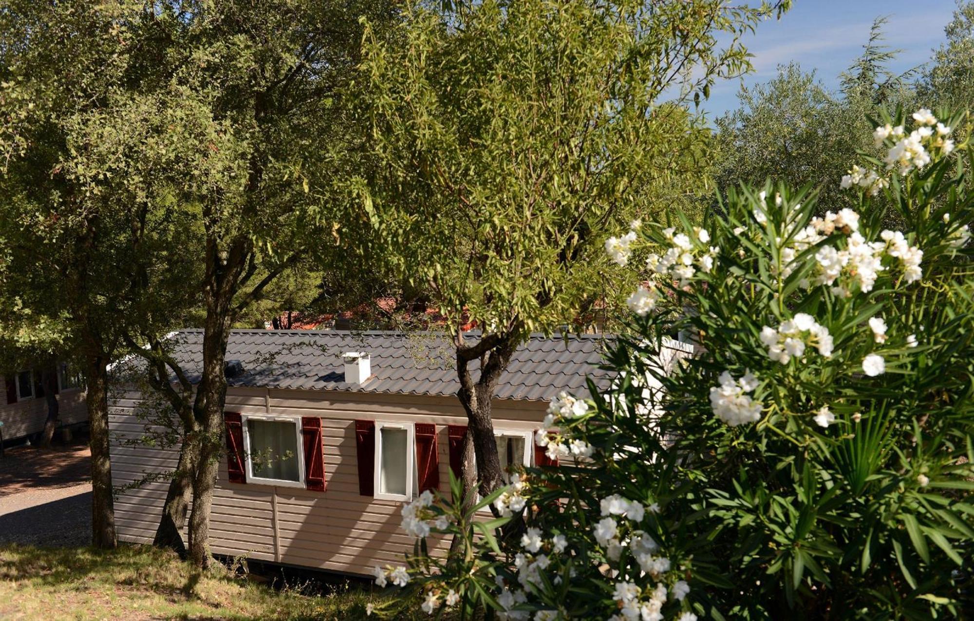 Domaine Residentiel De Plein Air Odalys La Pinede 3*