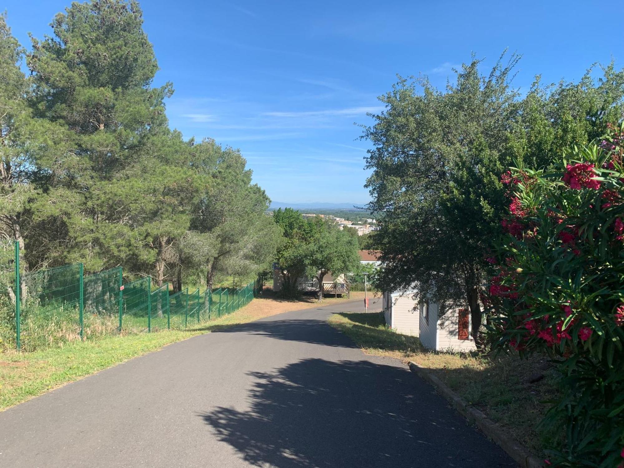 Domaine Residentiel De Plein Air Odalys La Pinede 3*
