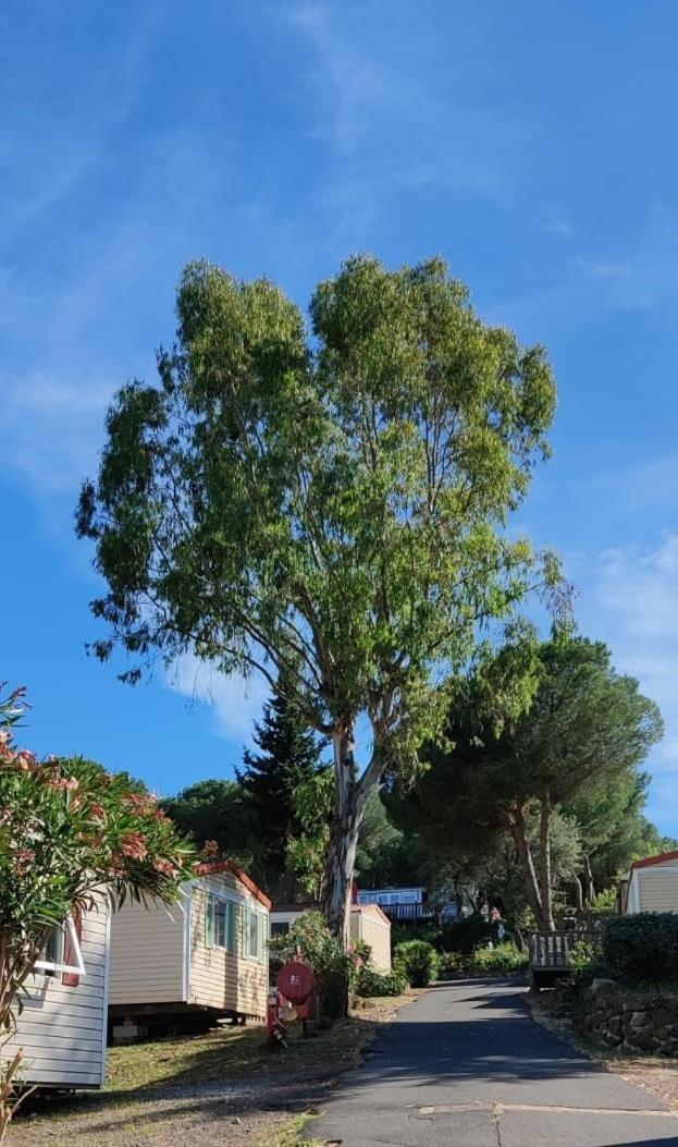 Campsite Domaine Residentiel De Plein Air Odalys La Pinede 3*