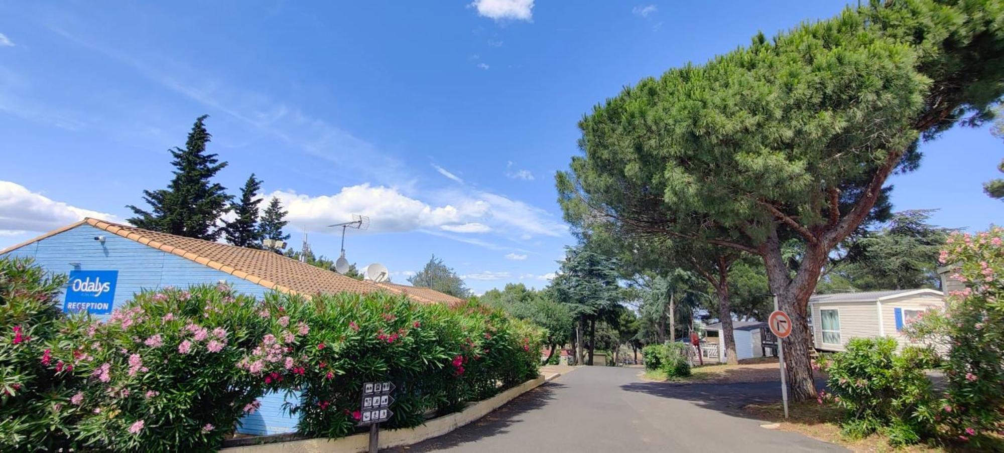 Domaine Residentiel De Plein Air Odalys La Pinede 3*